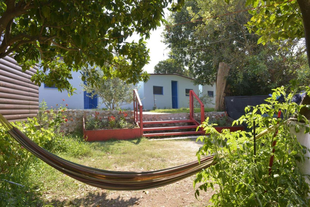 Glamping Rooms At The Sea Turtle Dhërmi Zewnętrze zdjęcie