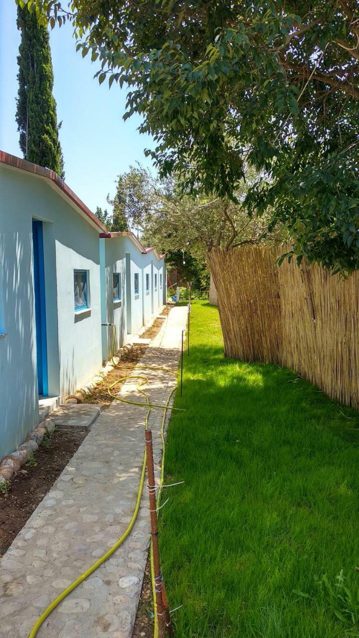 Glamping Rooms At The Sea Turtle Dhërmi Zewnętrze zdjęcie